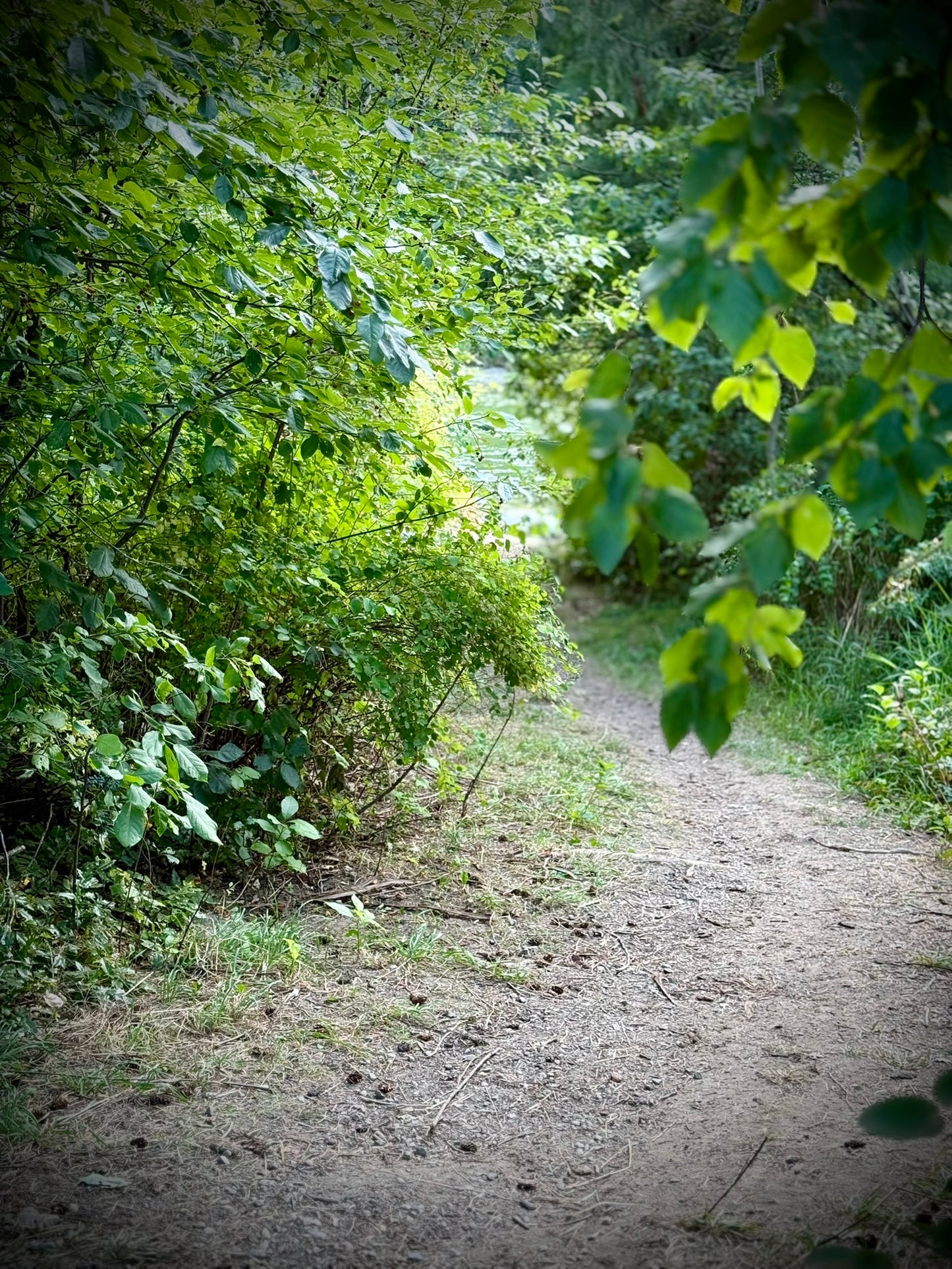 Mystic Moon River Retreat 08.10.25