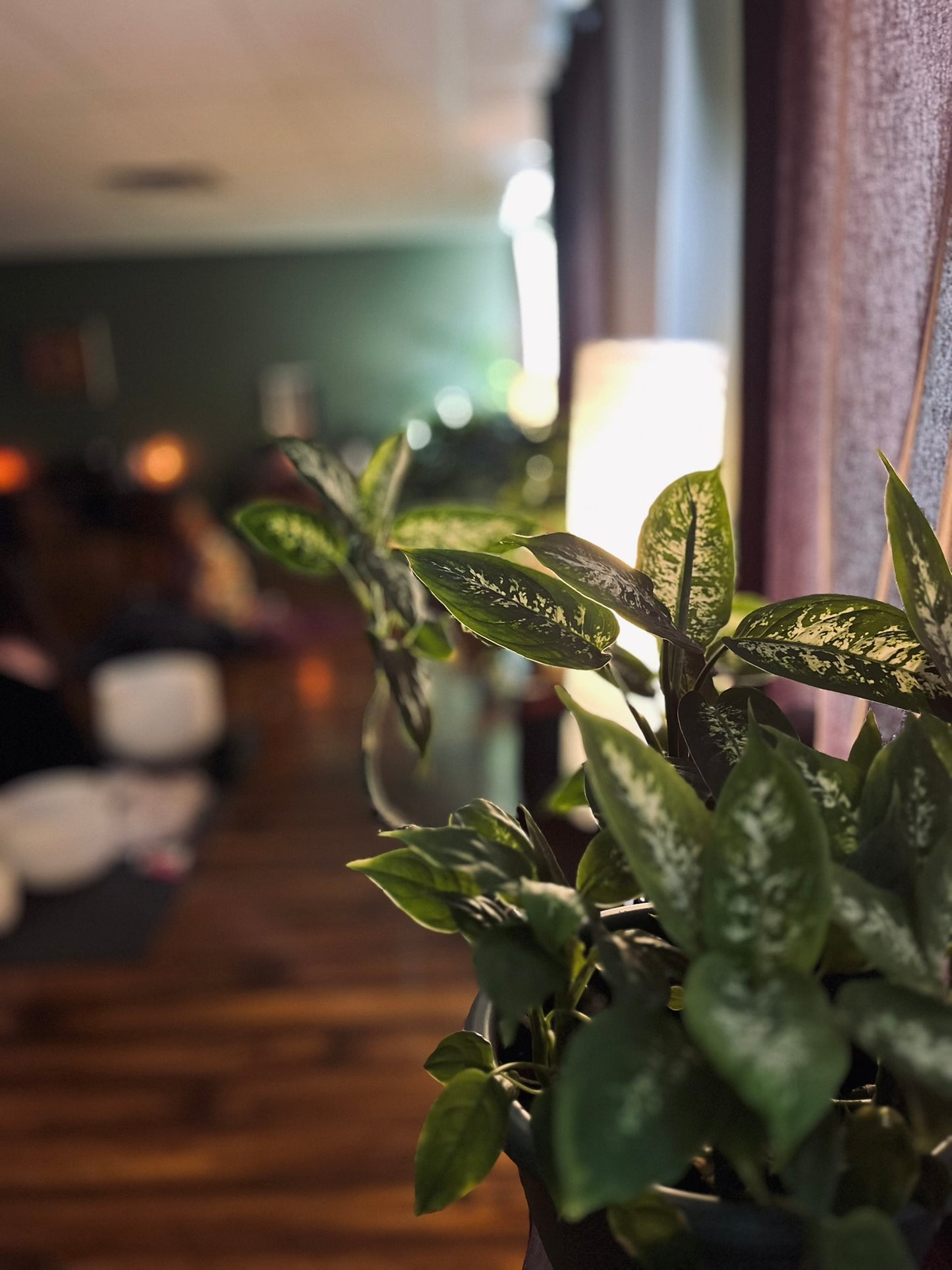 Fall Equinox Sound Bath at Sweet Freedom Yoga 09.21.25