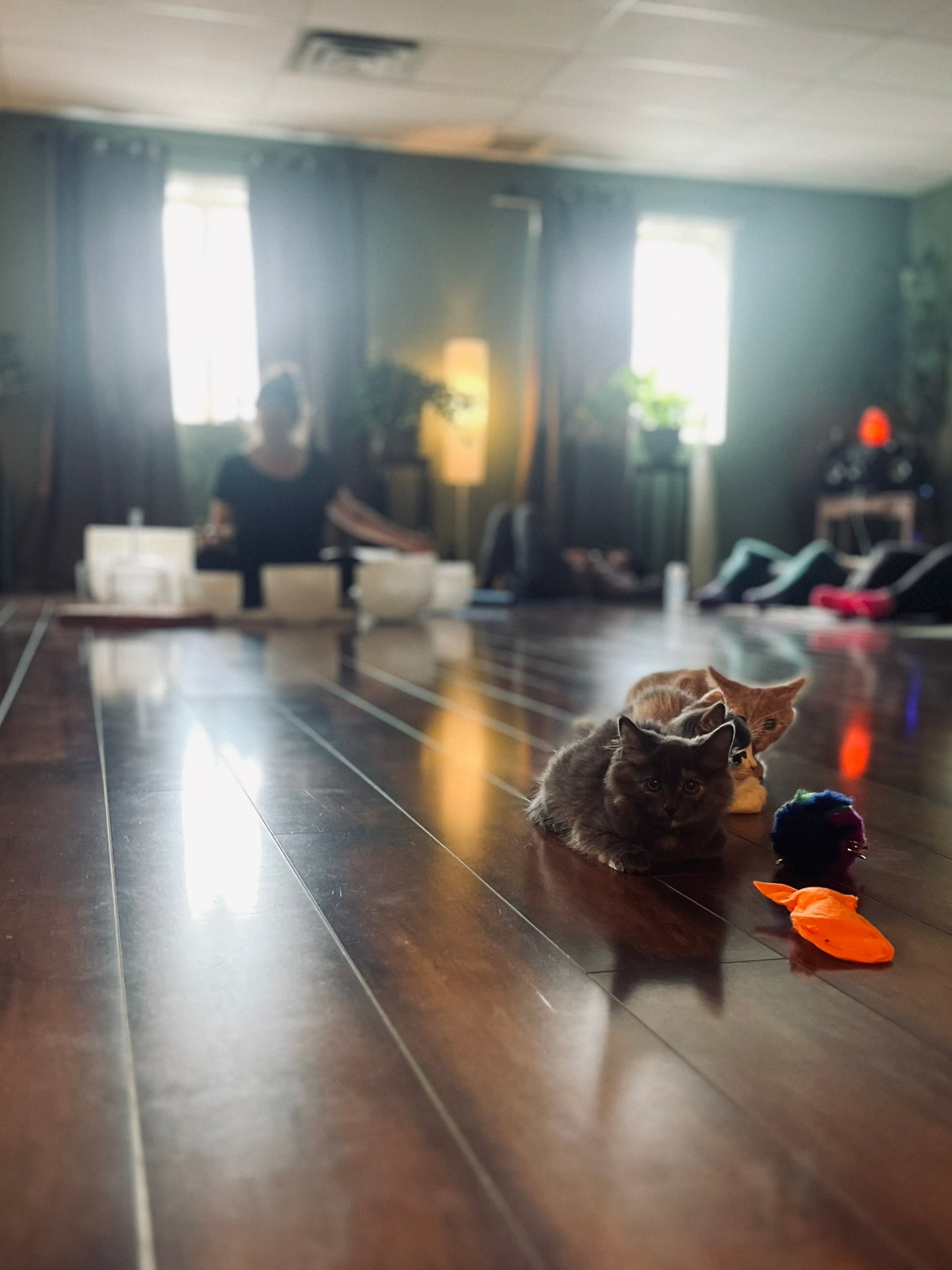 Sound Bath with Cats 10.05.25