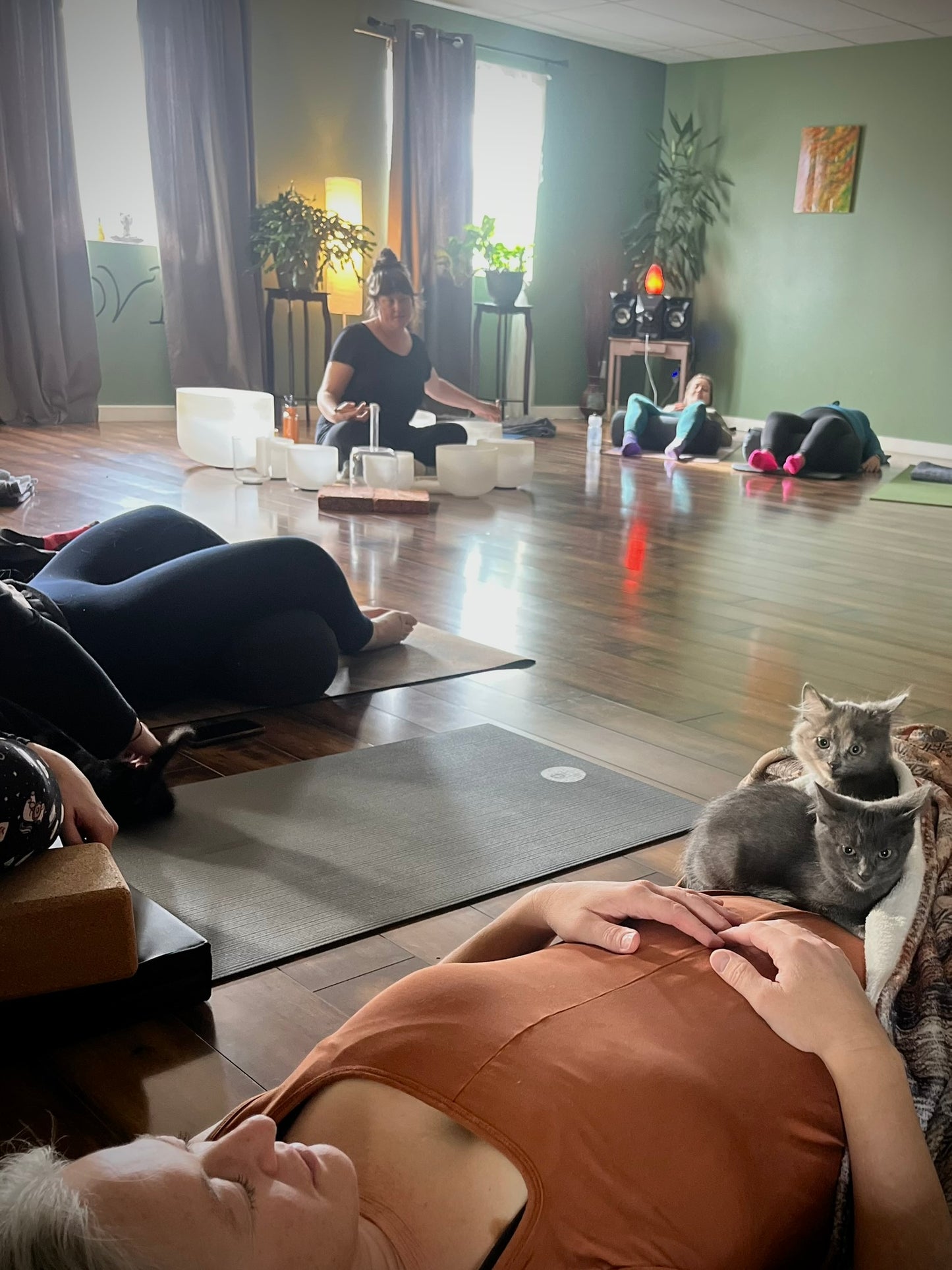 Sound Bath with Cats 10.05.25