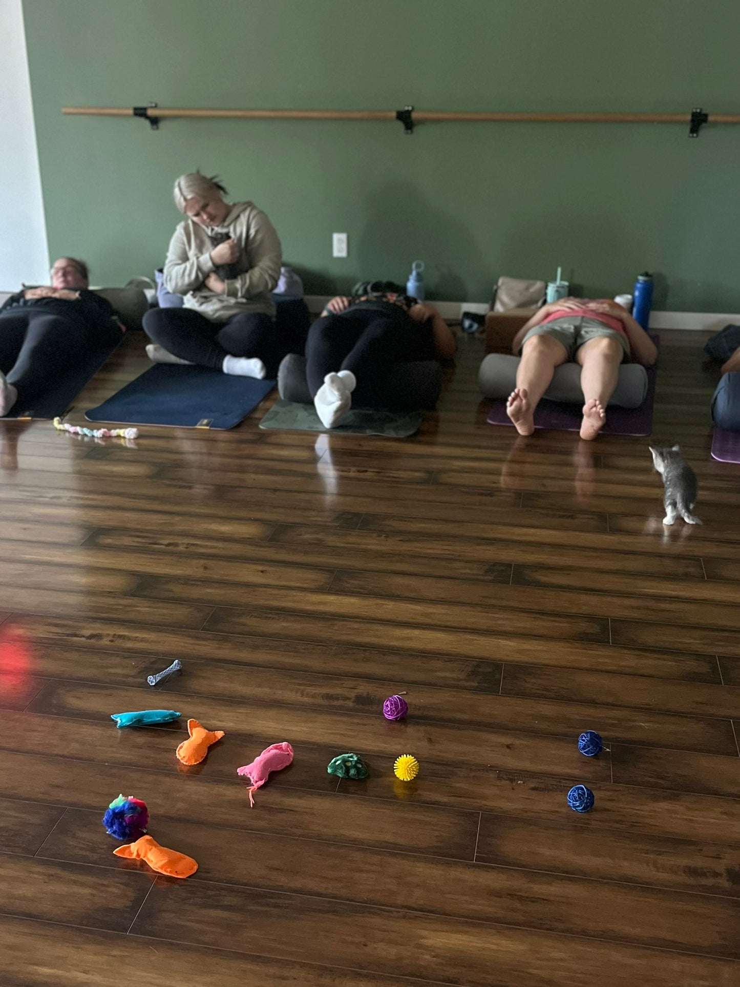 Sound Bath with Cats 10.05.25