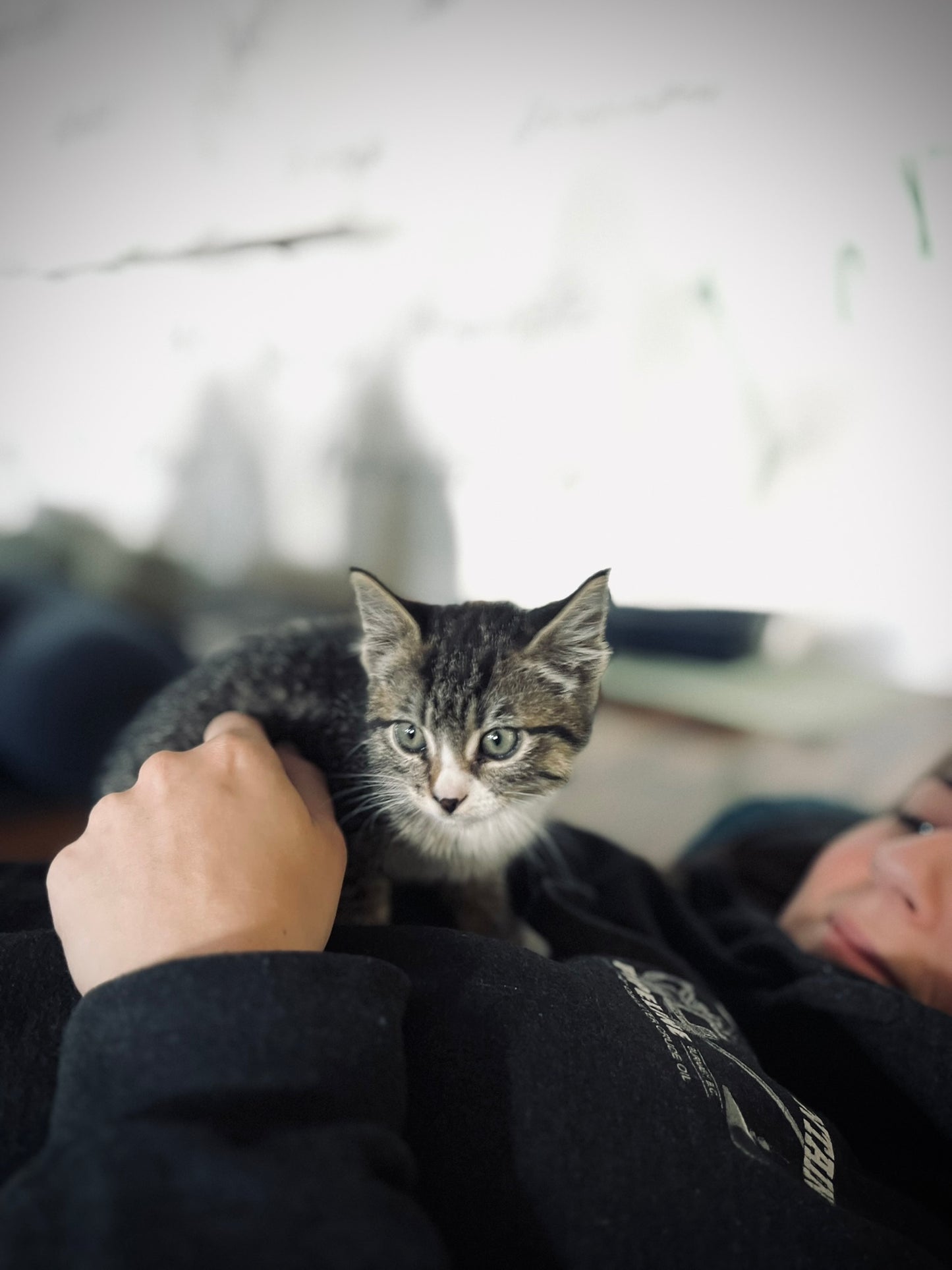 Sound Bath with Cats 10.05.25