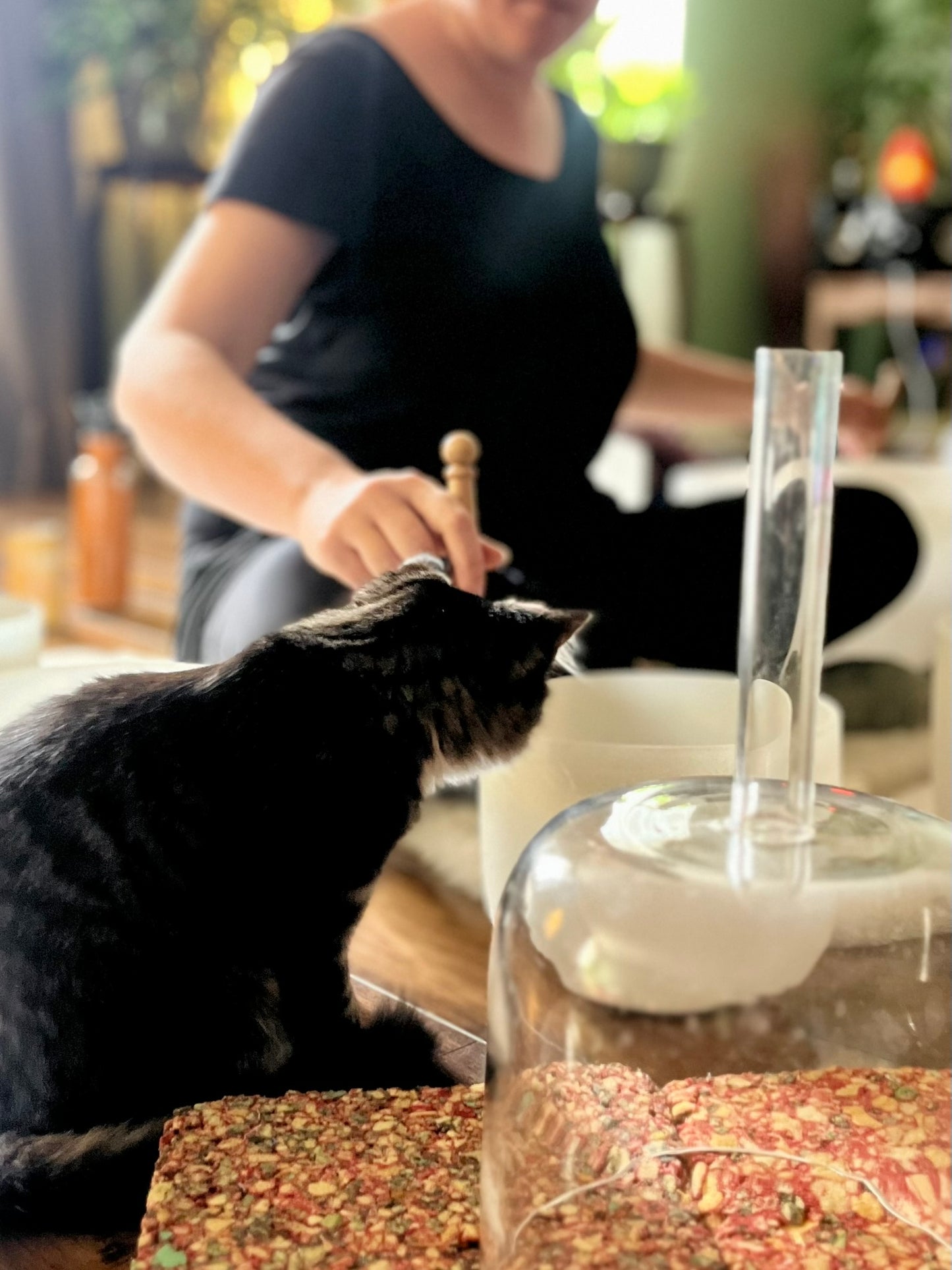 Sound Bath with Cats 10.05.25