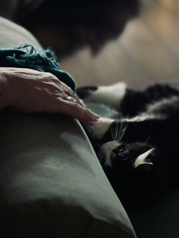 Sound Bath with Cats 10.05.25