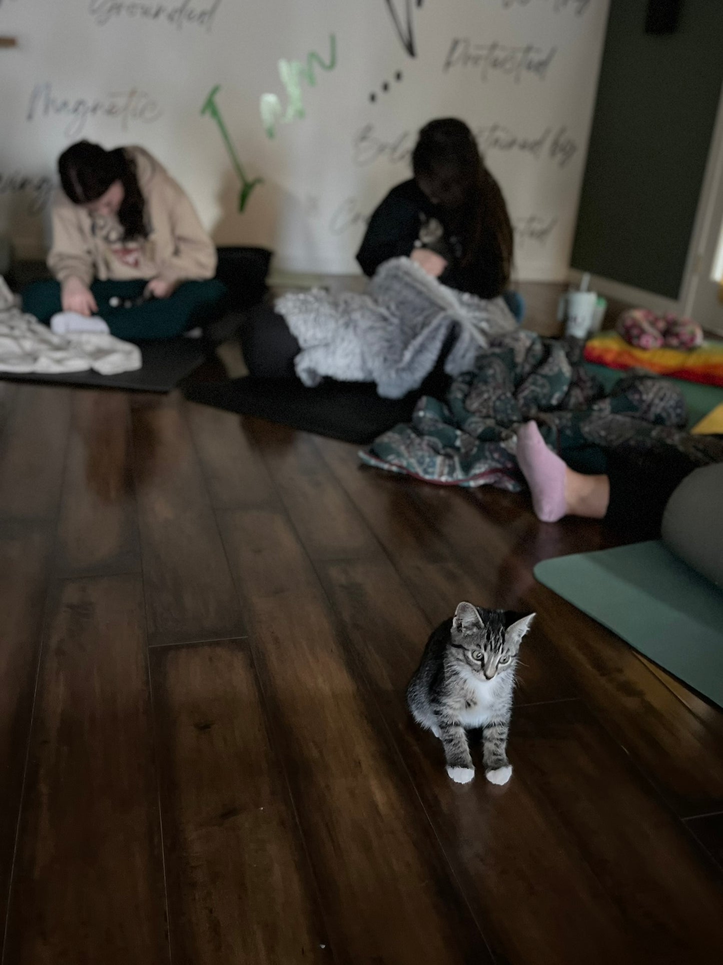 Sound Bath with Cats 10.05.25