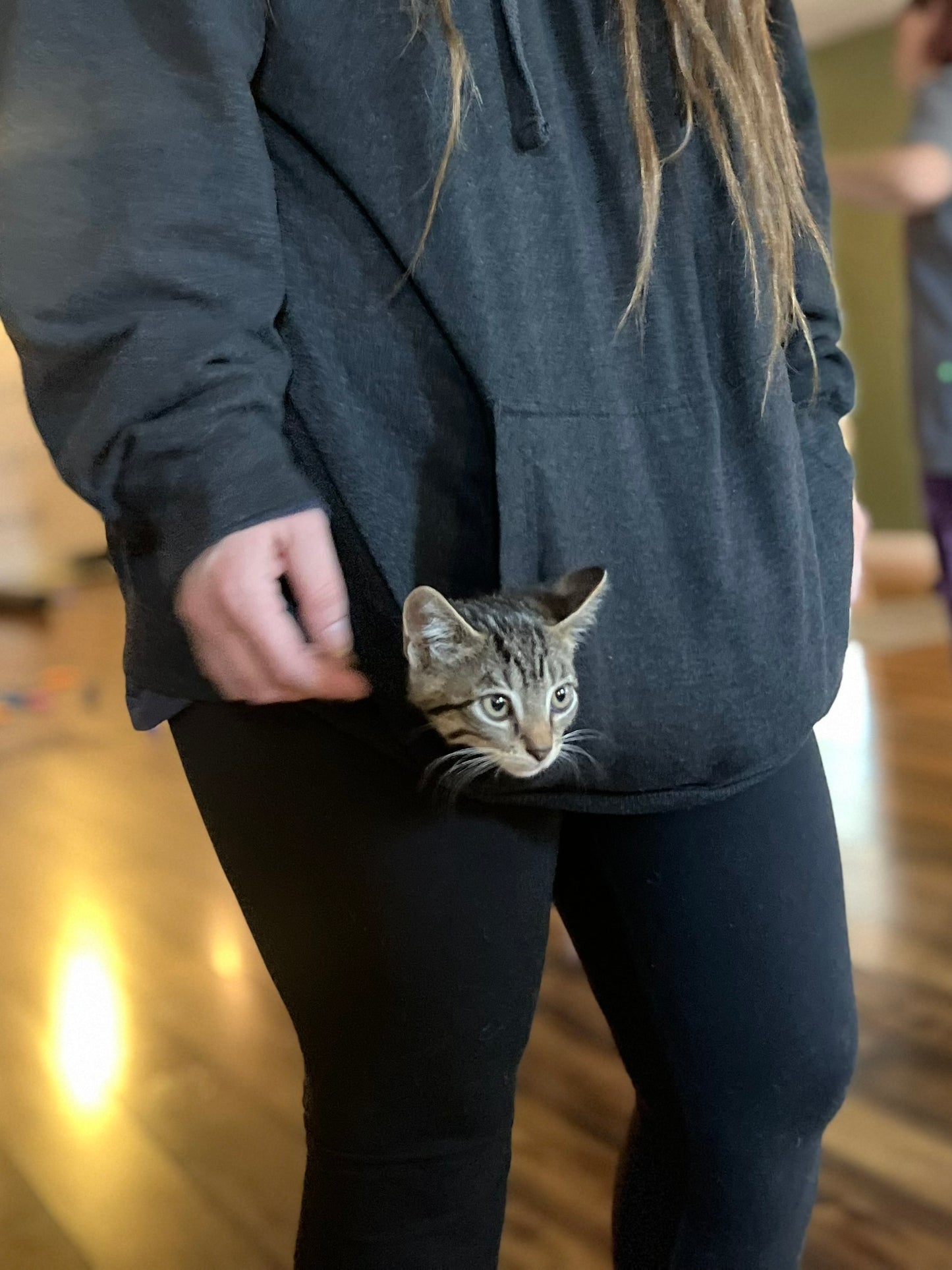 Sound Bath with Cats 10.05.25