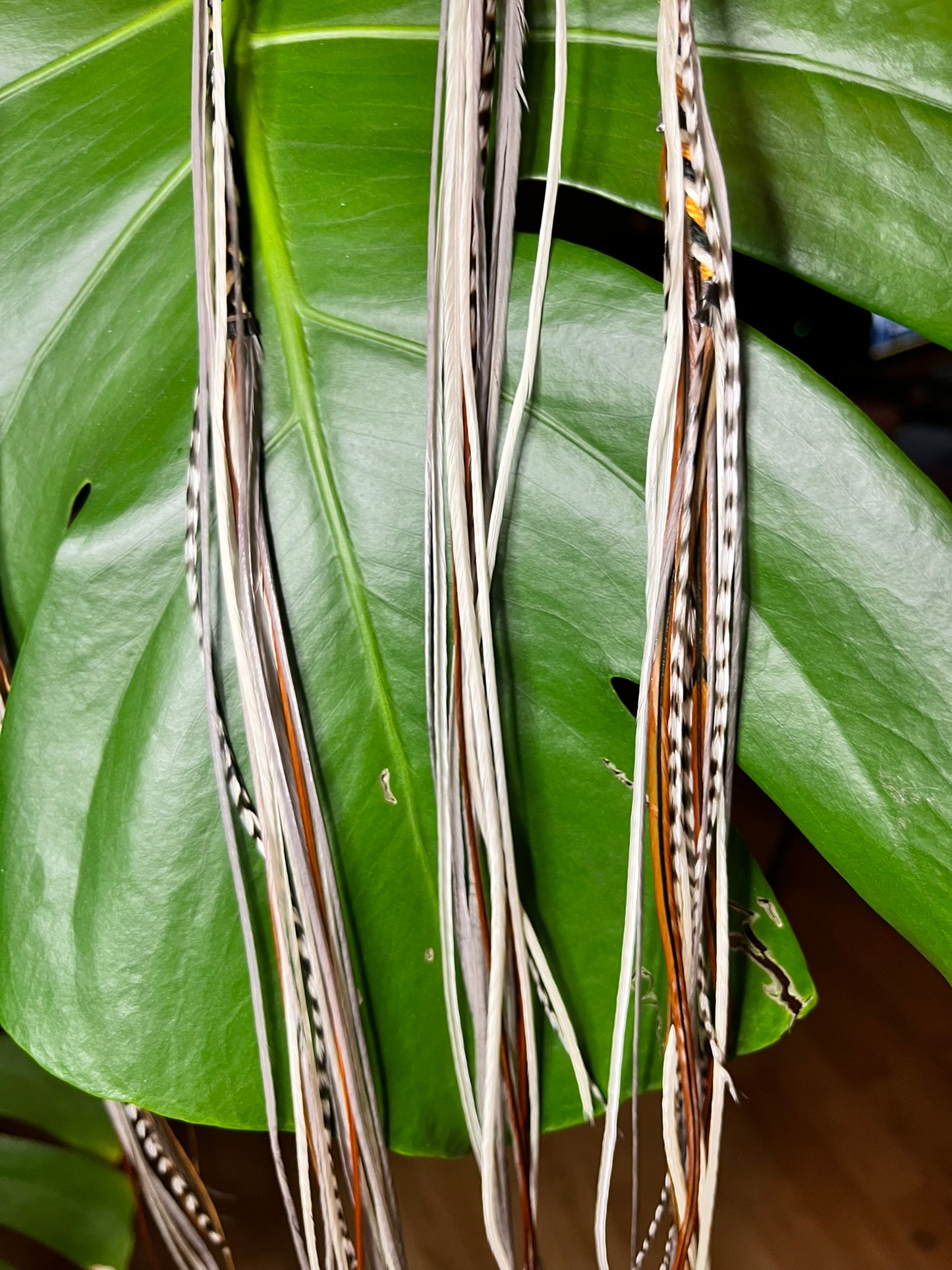 the 'Touch of Class' feather hair clip