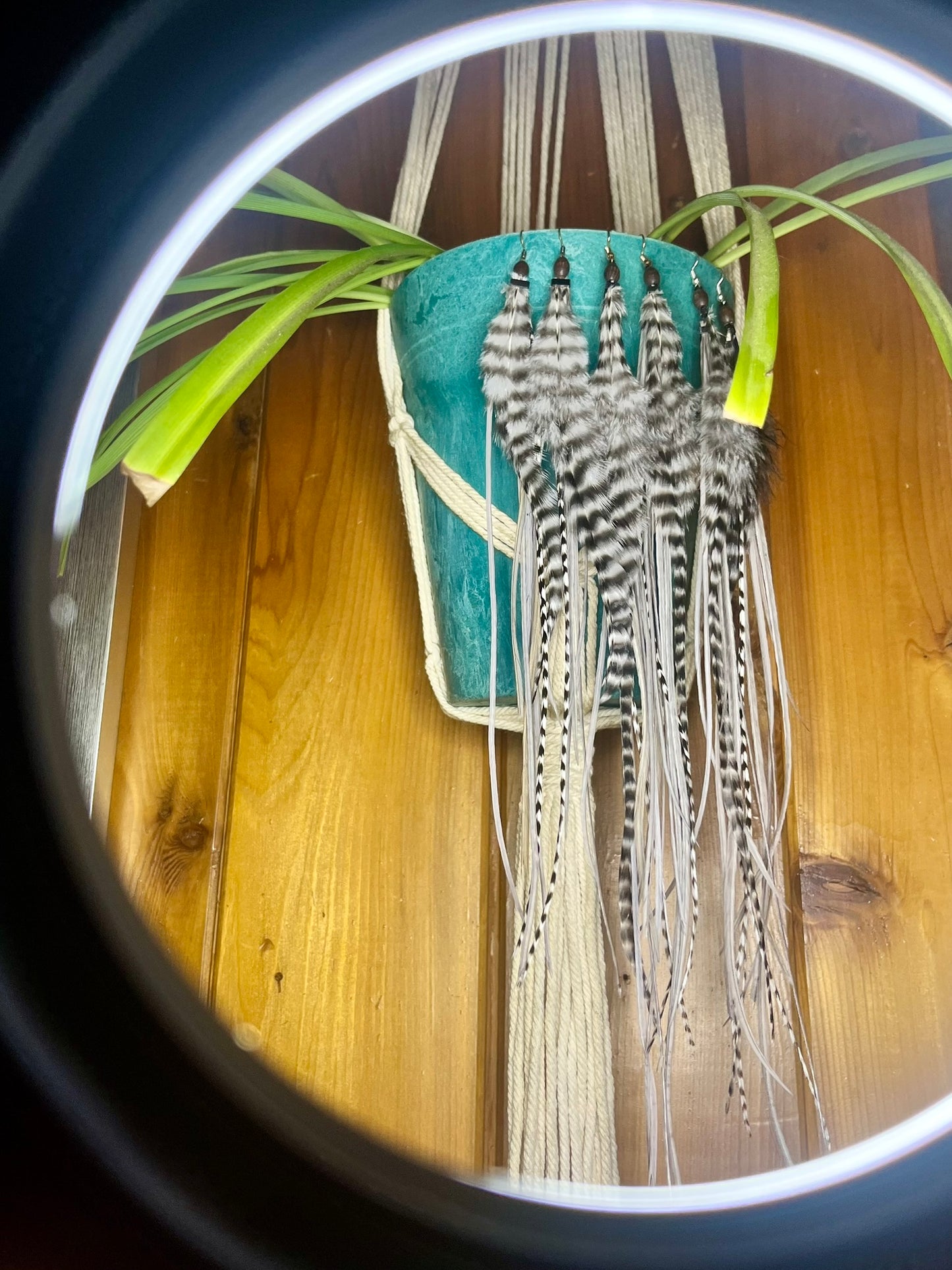 the 'Freedom Finder' earrings