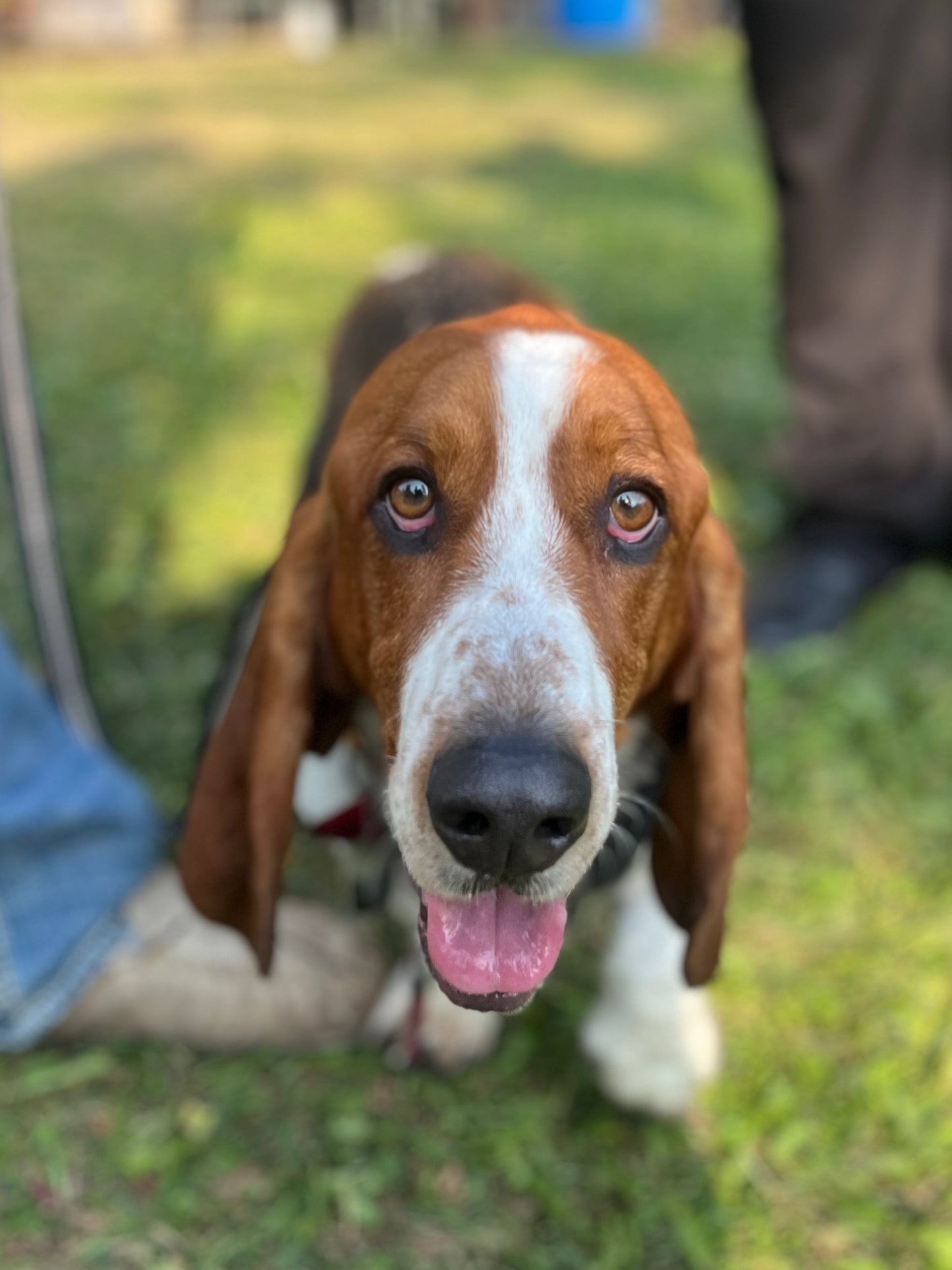 the Pearson's pt.1 09.13.25