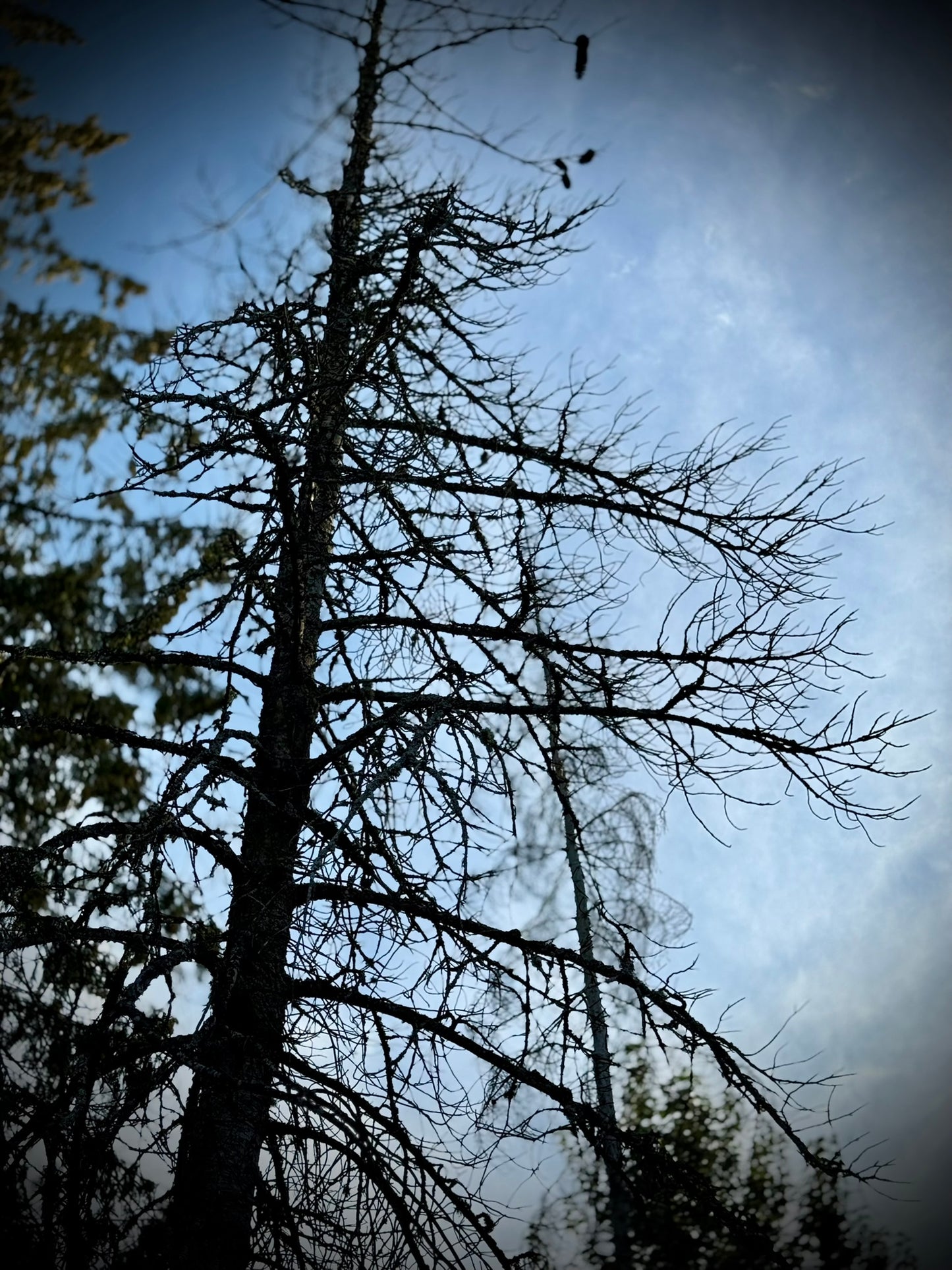 Mystic Moon River Retreat 08.10.25