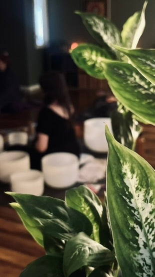 Fall Equinox Sound Bath at Sweet Freedom Yoga 09.21.25