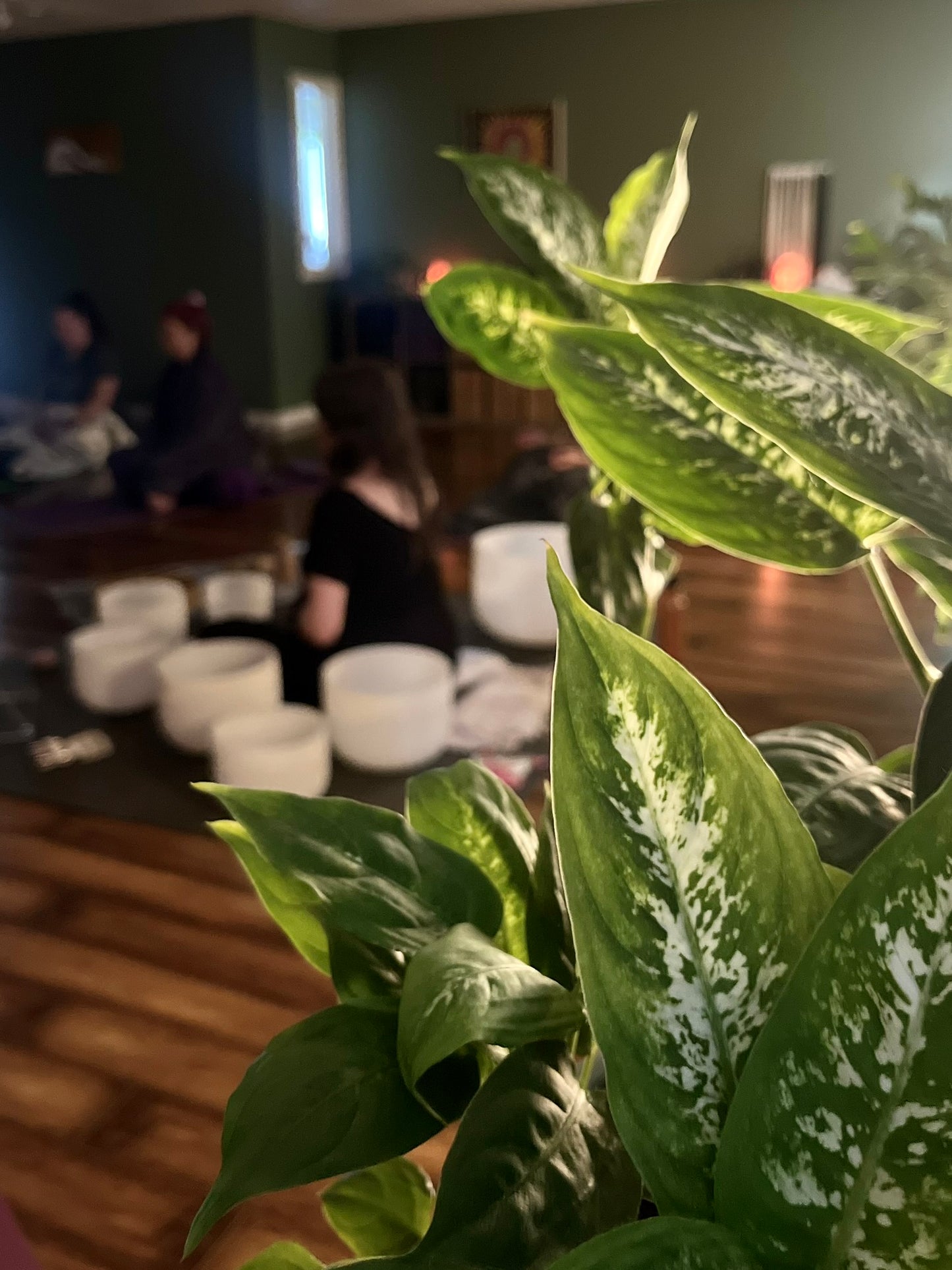 Fall Equinox Sound Bath at Sweet Freedom Yoga 09.21.25