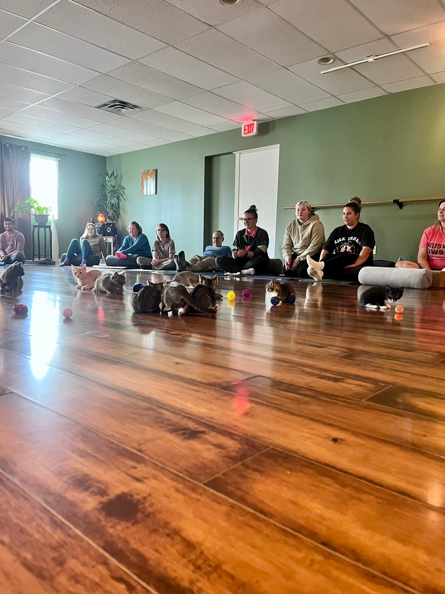 Sound Bath with Cats 10.05.25