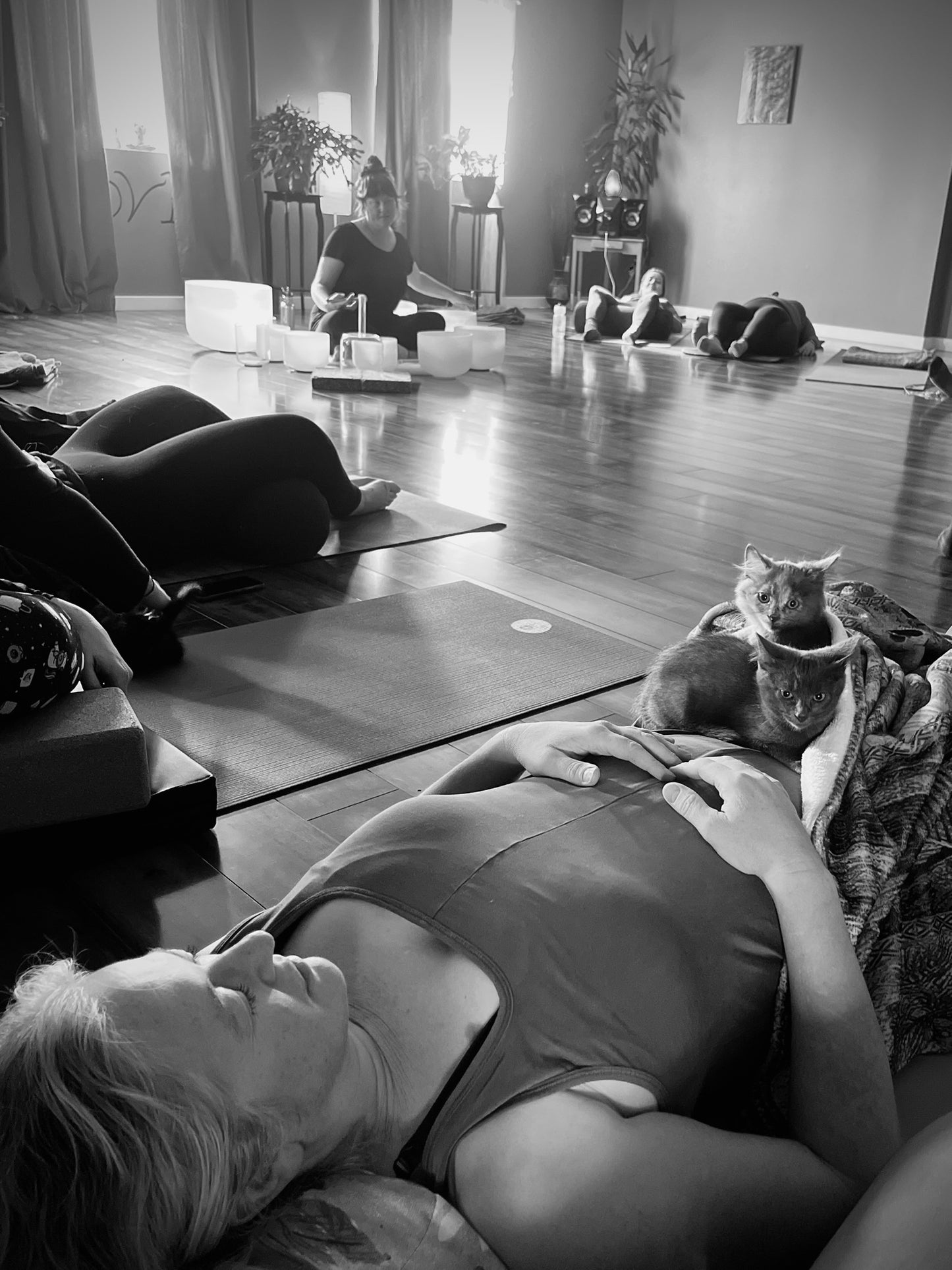 Sound Bath with Cats 10.05.25