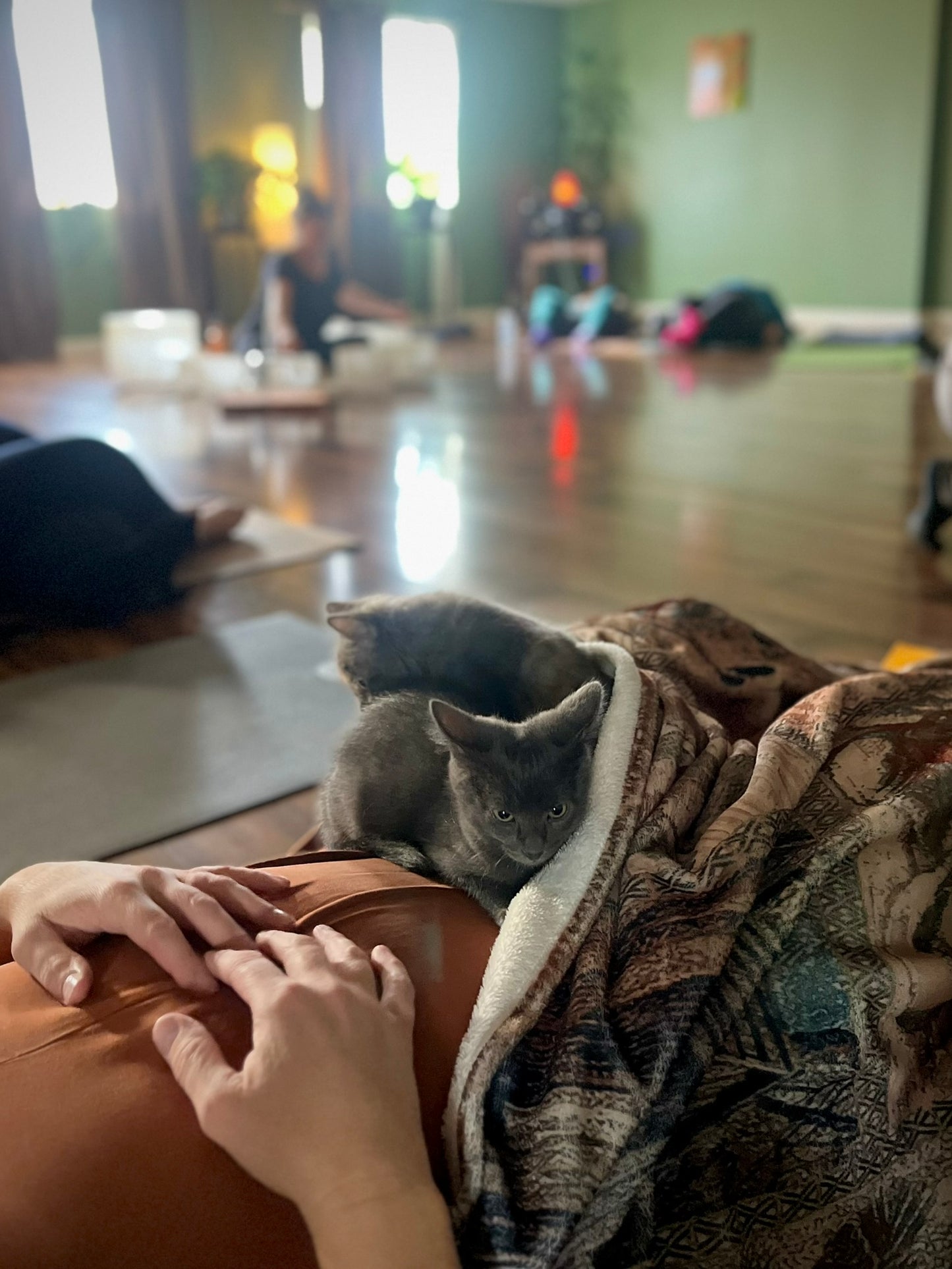 Sound Bath with Cats 10.05.25