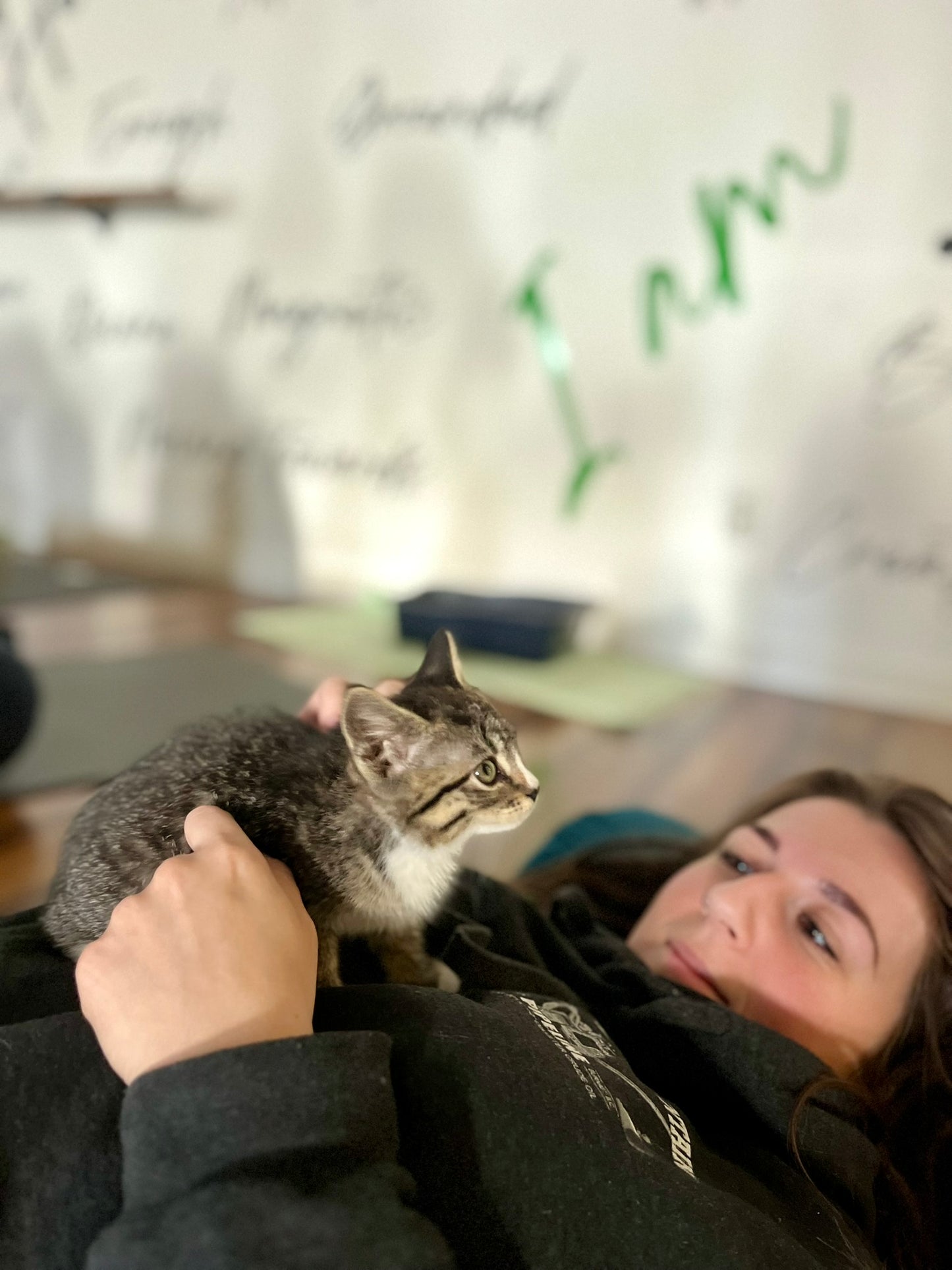 Sound Bath with Cats 10.05.25