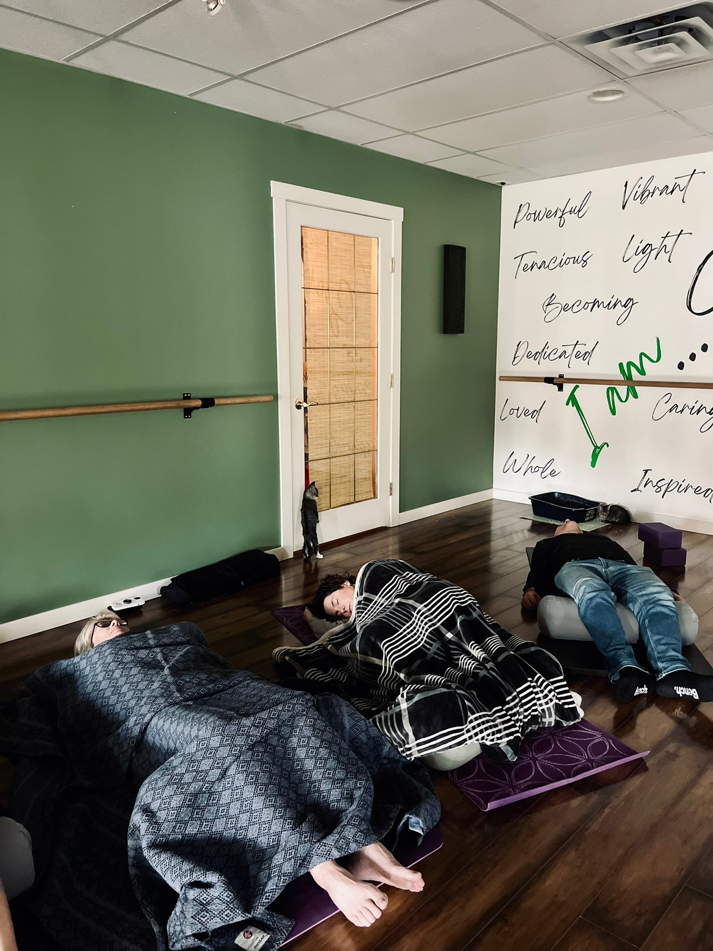 Sound Bath with Cats 10.05.25