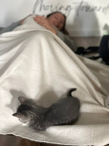 Sound Bath with Cats 10.05.25