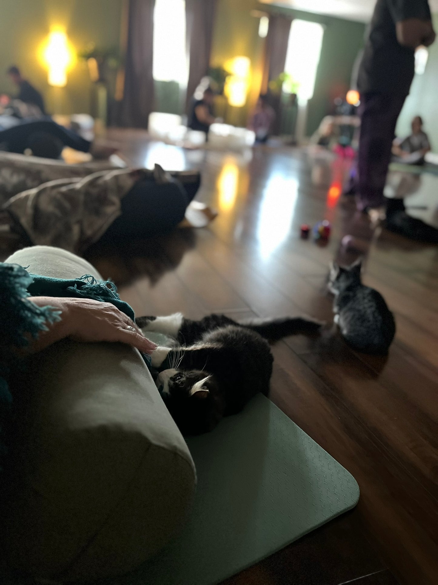 Sound Bath with Cats 10.05.25