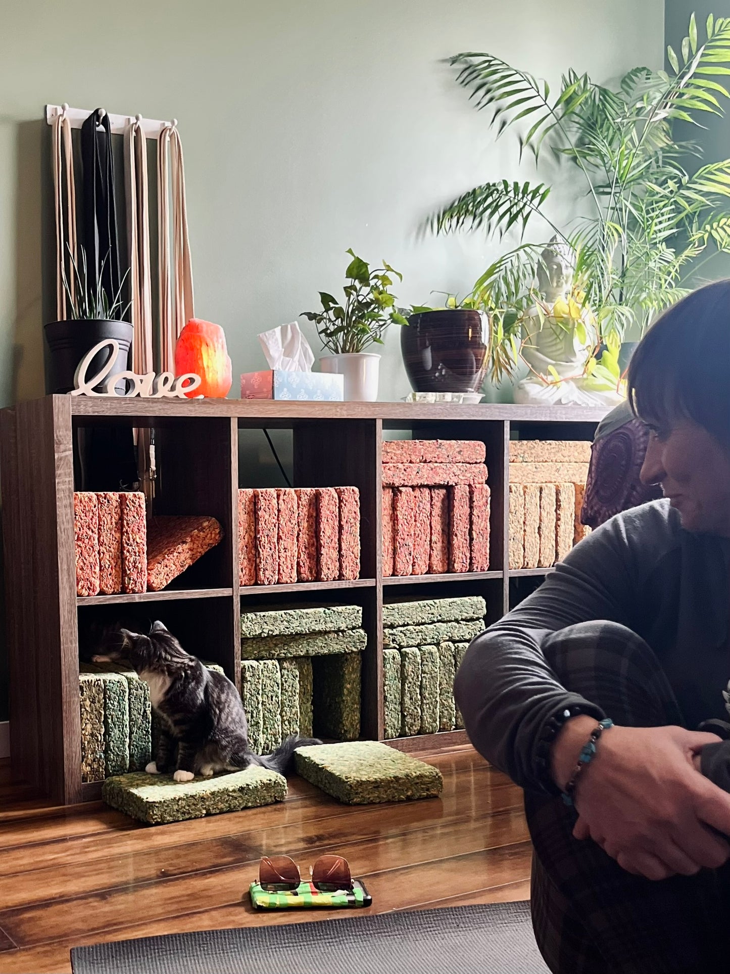 Sound Bath with Cats 10.05.25