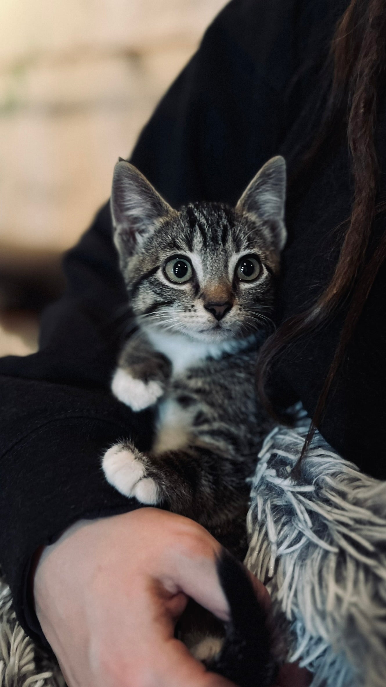 Sound Bath with Cats 10.05.25