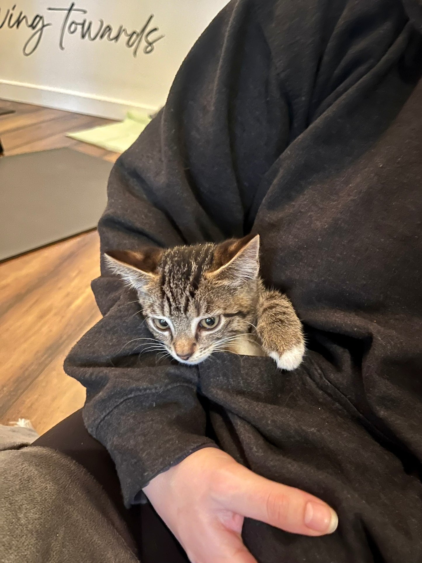 Sound Bath with Cats 10.05.25