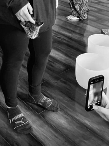 Sound Bath with Cats 10.05.25