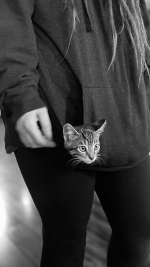 Sound Bath with Cats 10.05.25