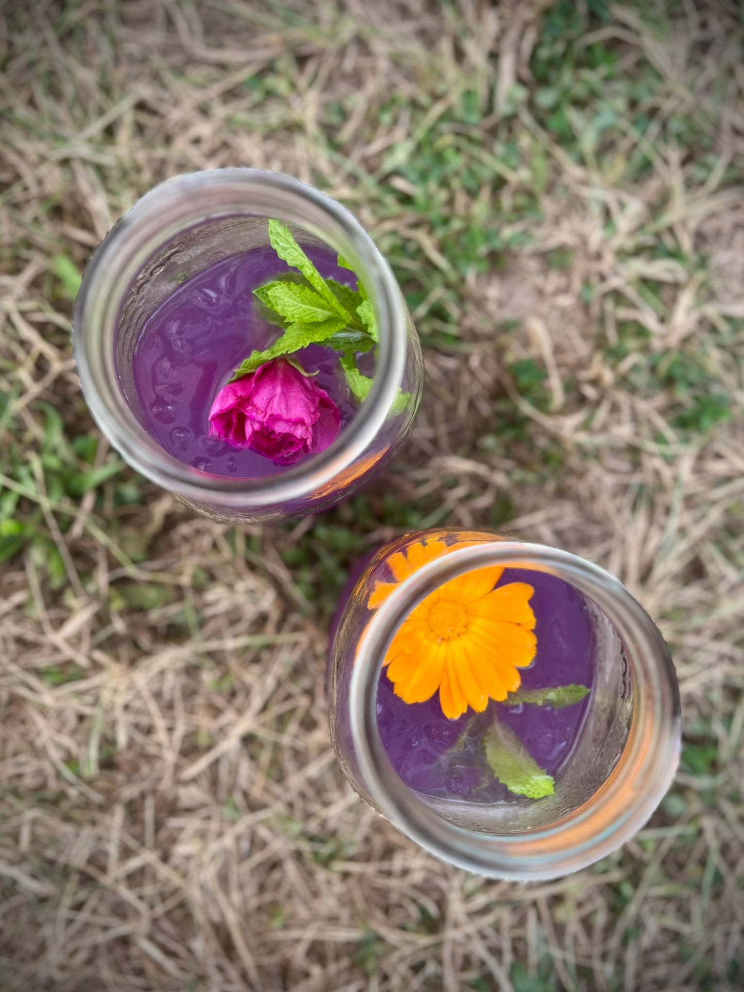 Mystic Moon River Retreat 08.10.25