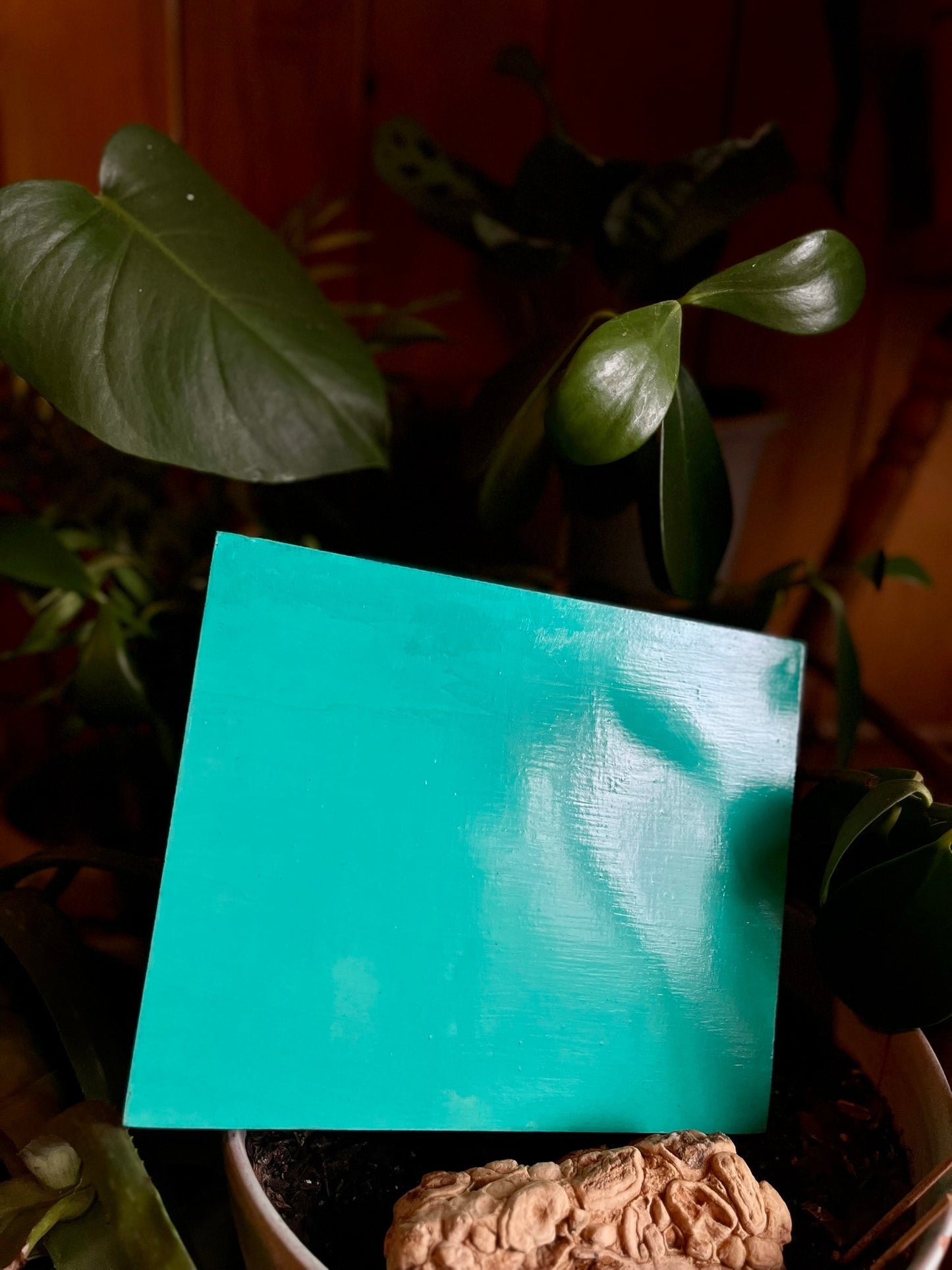 the ‘Protect Your Peace’ rolling tray